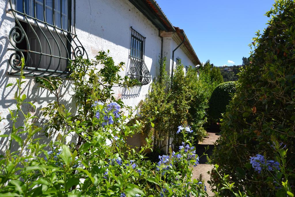 Casa Do Campo - Turismo De Habitacao Bed and Breakfast Celorico De Basto Εξωτερικό φωτογραφία
